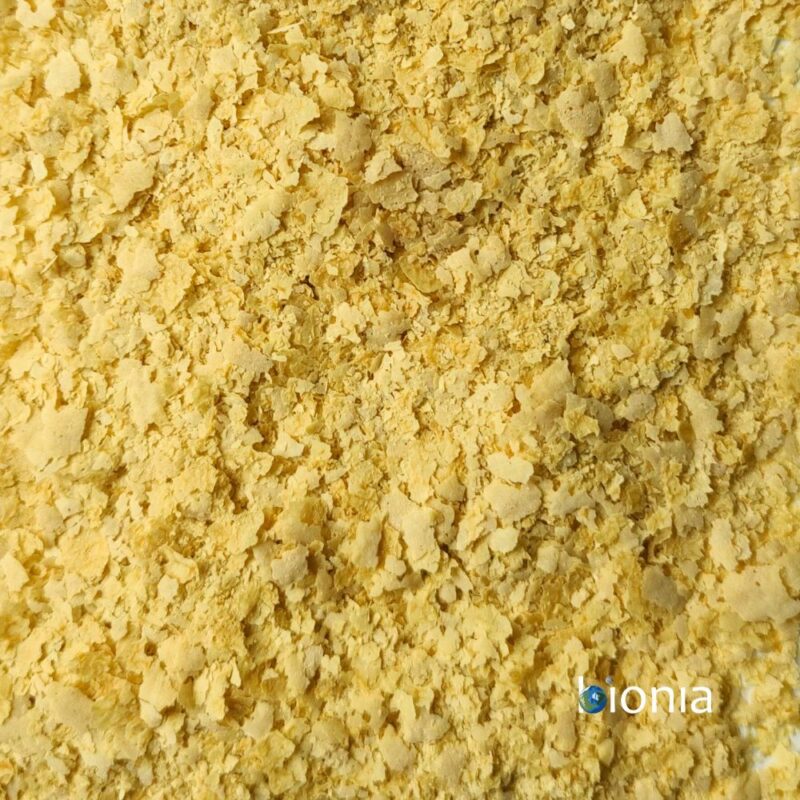 Bionia Nutritional Yeast Bulk