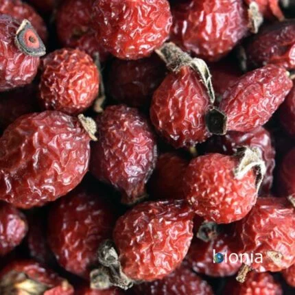 Bionia Rosehips Dried Bulk