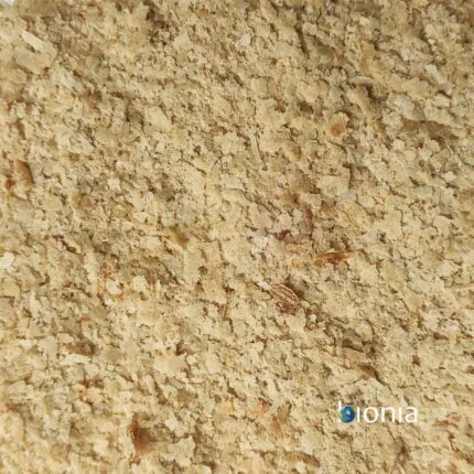 Fulgi de DROJDIE DE BERE