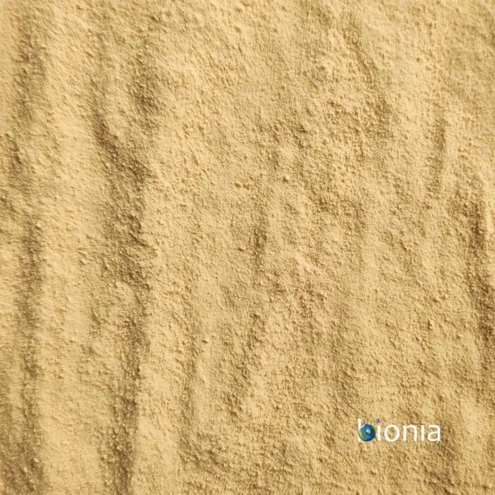 Bionia Brewers Yeast Powder Bulk 2 700x700
