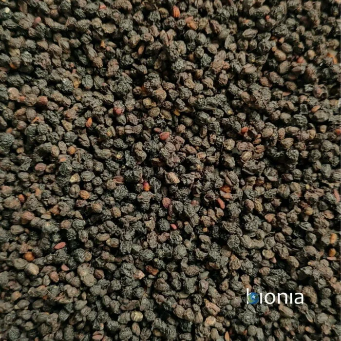 Bionia Dwarf Elderberies Bulk 2 700x700