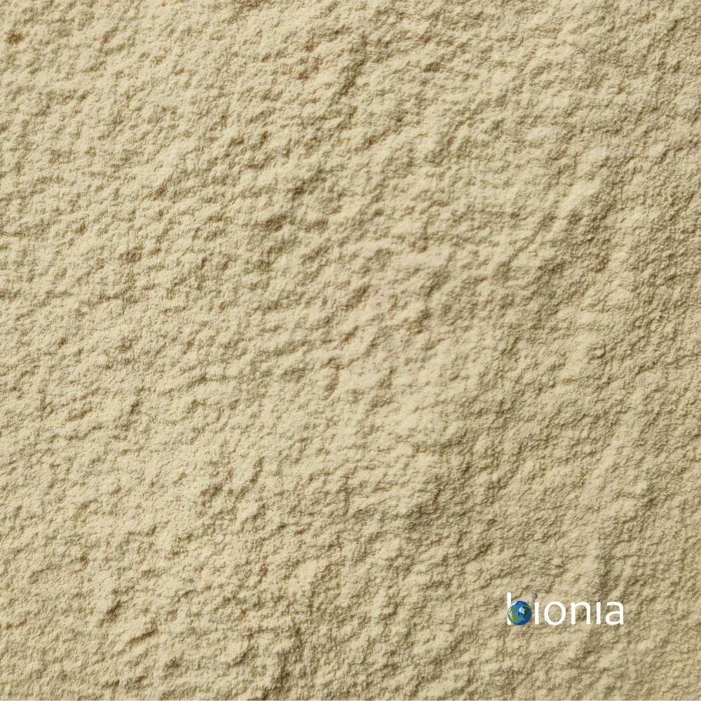 Erbsenproteinisolat – Premiumqualität – Bild 1