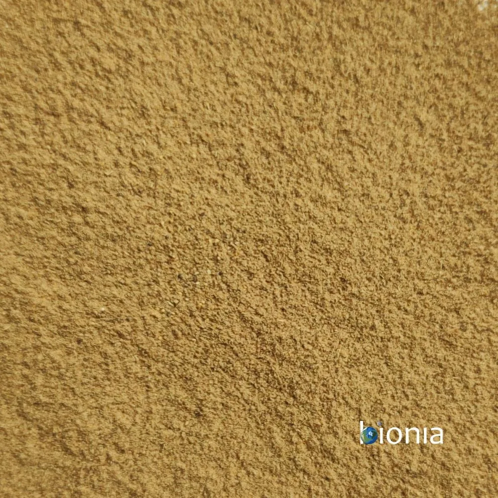 HAGEBUTTE - fein gemahlen – Bild 1