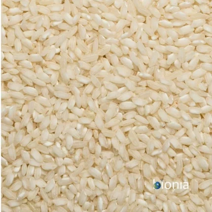 organic rice arborio gluten free – bulk