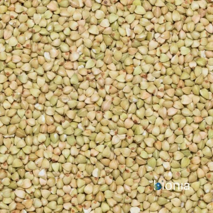 ORGANIC BUCKWHEAT – GLUTEN FREE - Image 5