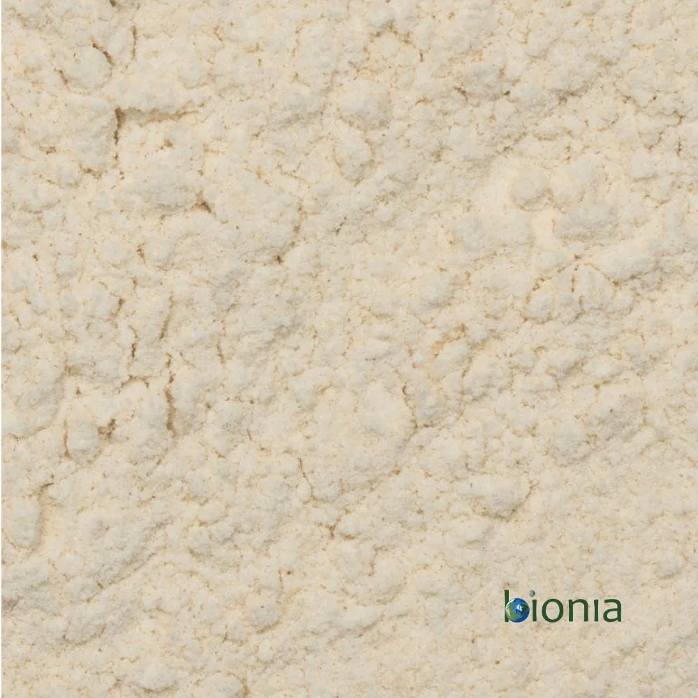organic wholegrain rice flour gluten free – bulk