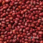 organic adzuki beans – gluten free – bulk