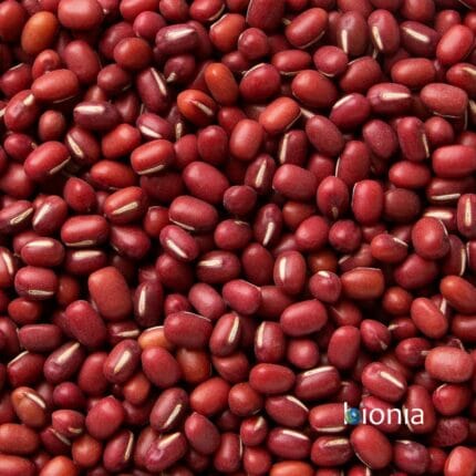 organic adzuki beans – gluten free – bulk