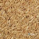 bio basmati rice brown gluten free – loose