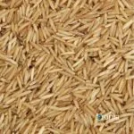 bio basmati rice brown gluten free – loose