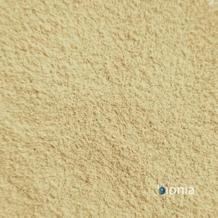 organic date powder – bulk