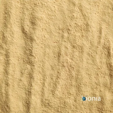 Bionia Brewers Yeast Powder Bulk 430x430