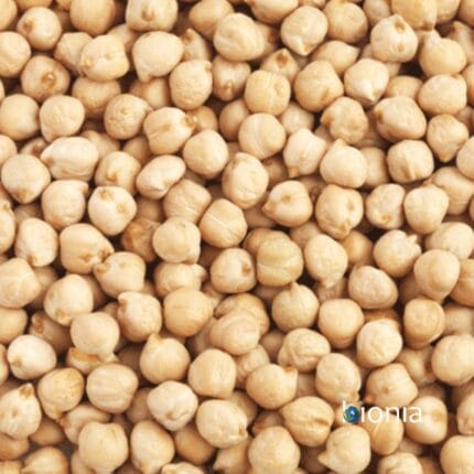 organic chickpeas gluten free – bulk