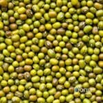 organic mung beans gluten free – bulk
