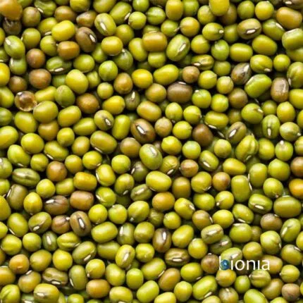 organic mung beans gluten free – bulk