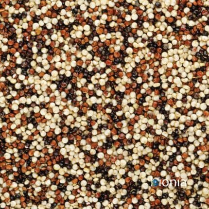 bio quinoa tricolor gluten free – bulk