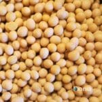 bio soy free – bulk
