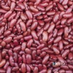 bio red kidney beans gluten free – bulk