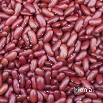 bio red kidney beans gluten free – bulk