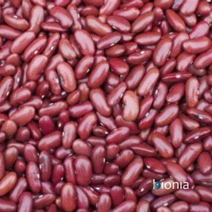 bio red kidney beans gluten free – bulk