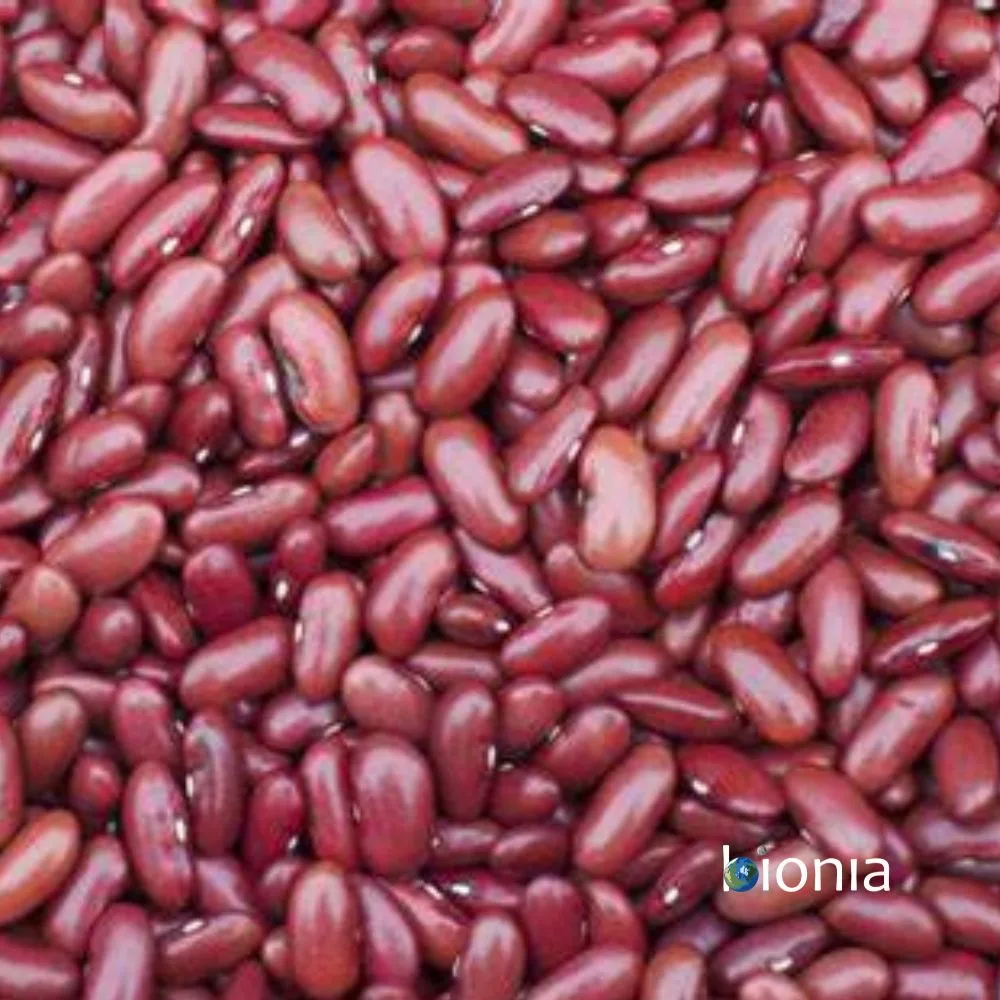 bio red kidney beans gluten free – bulk bio red kidney beans gluten free – bulk