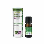 ORGANISCHES Eukalyptus Radiata ätherisches Öl – 10 ml
